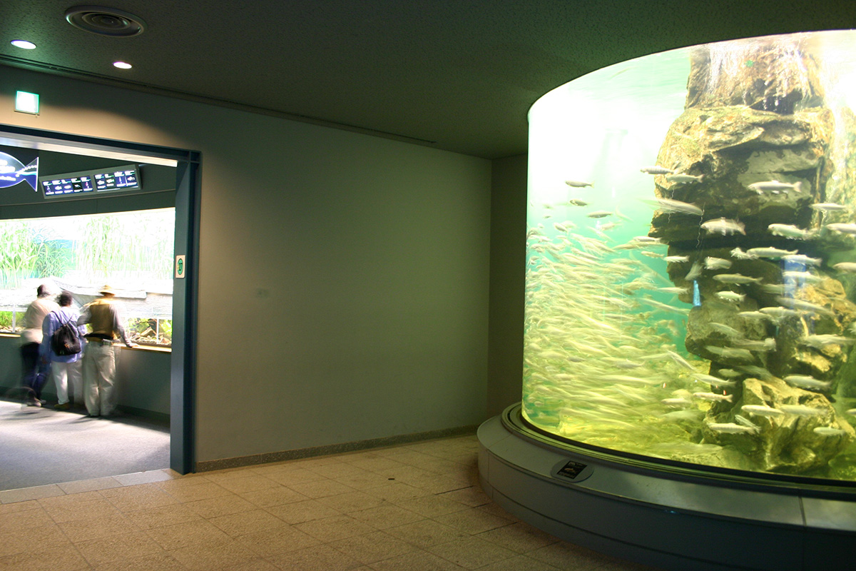 滋賀県立 琵琶湖博物館