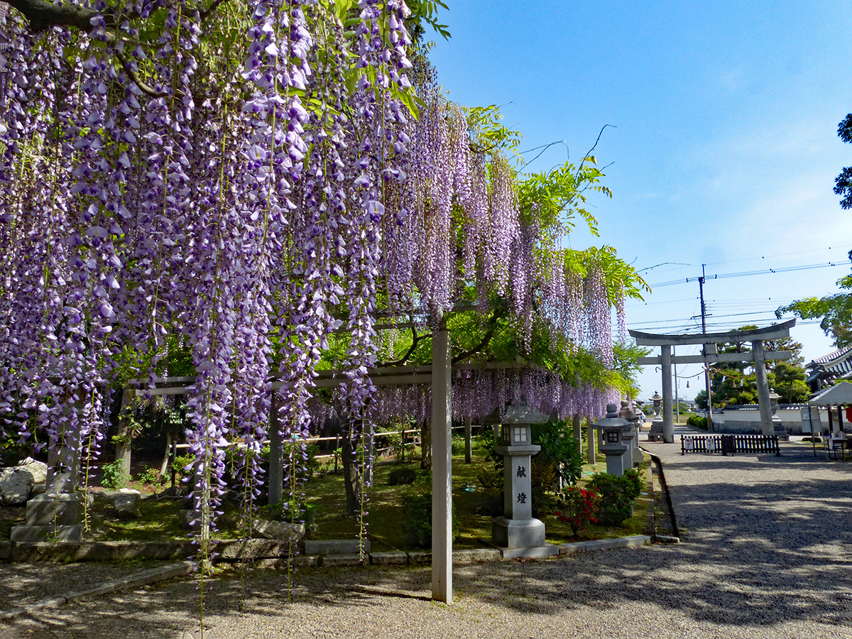 三大神社