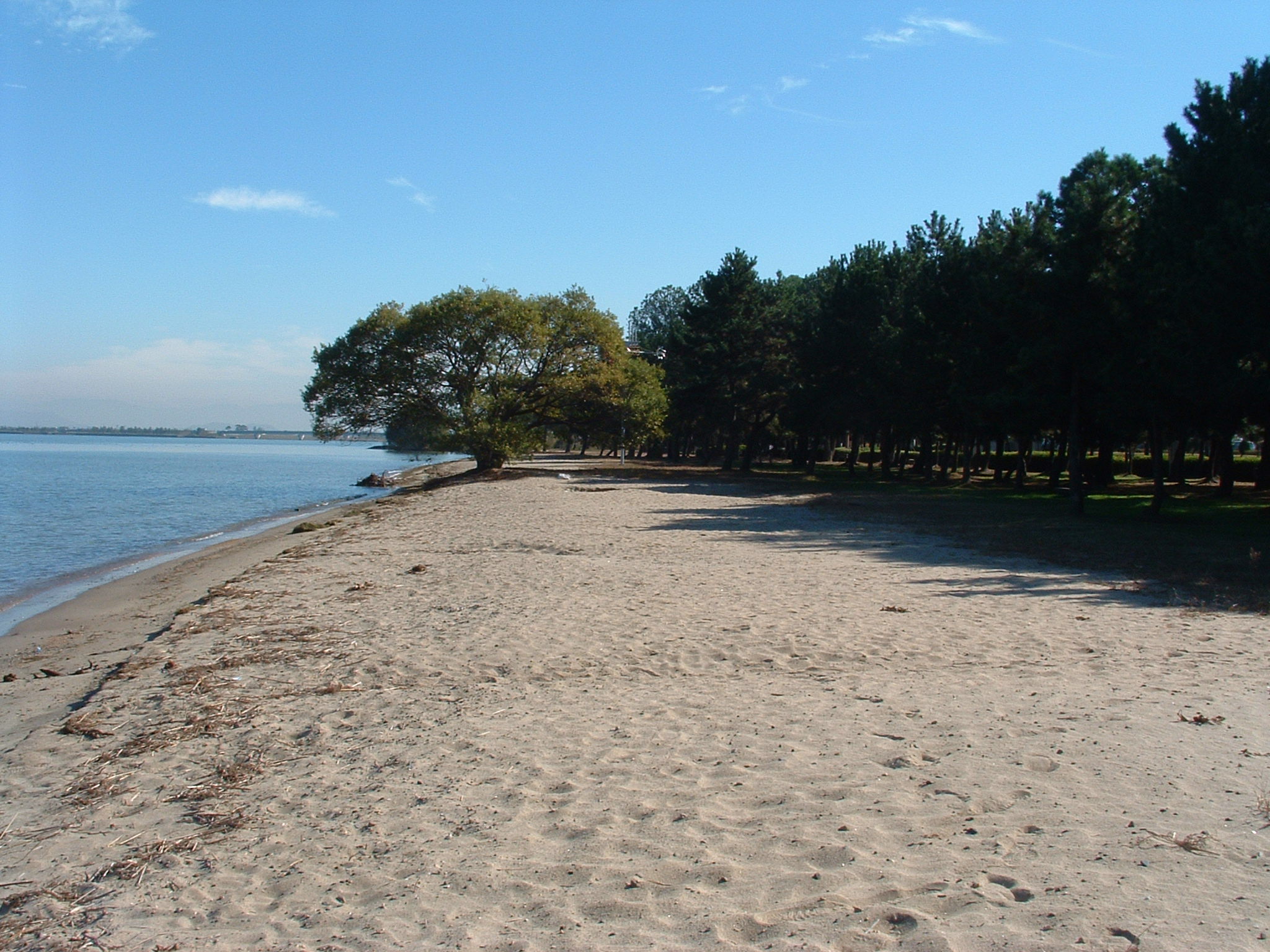 R琵琶湖線JR守山駅周辺の観光写真