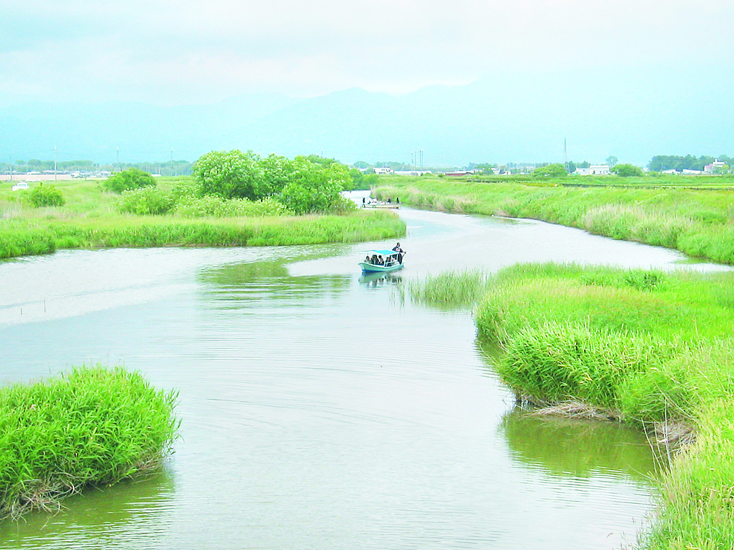 家棟川エコ遊覧船
